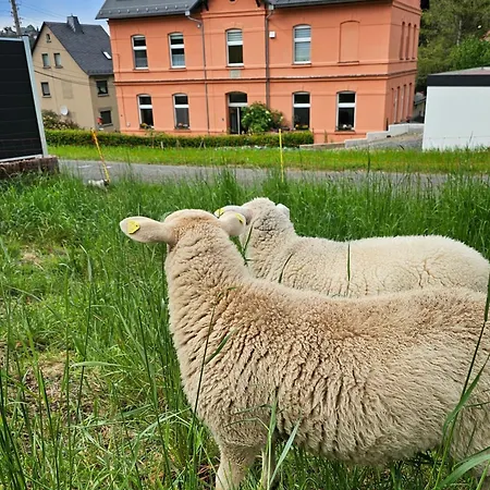 West - Alte Schule Sachswitz Greiz