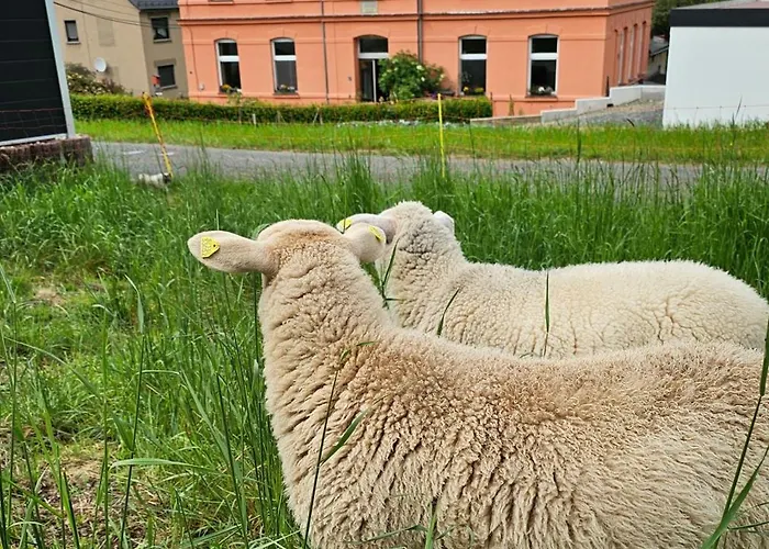 West - Alte Schule Sachswitz Greiz